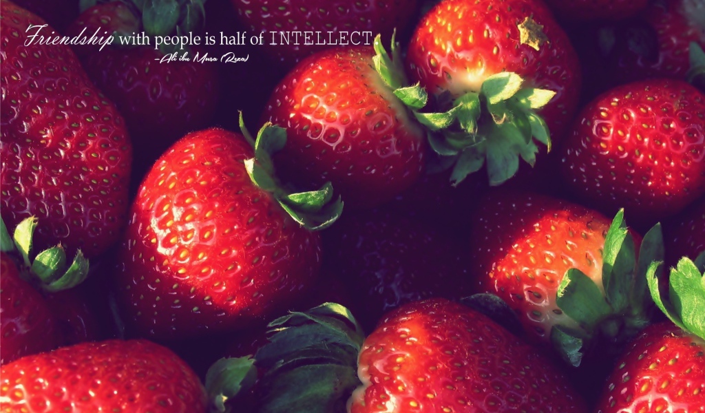 Дружелюбие, это часть интеллекта