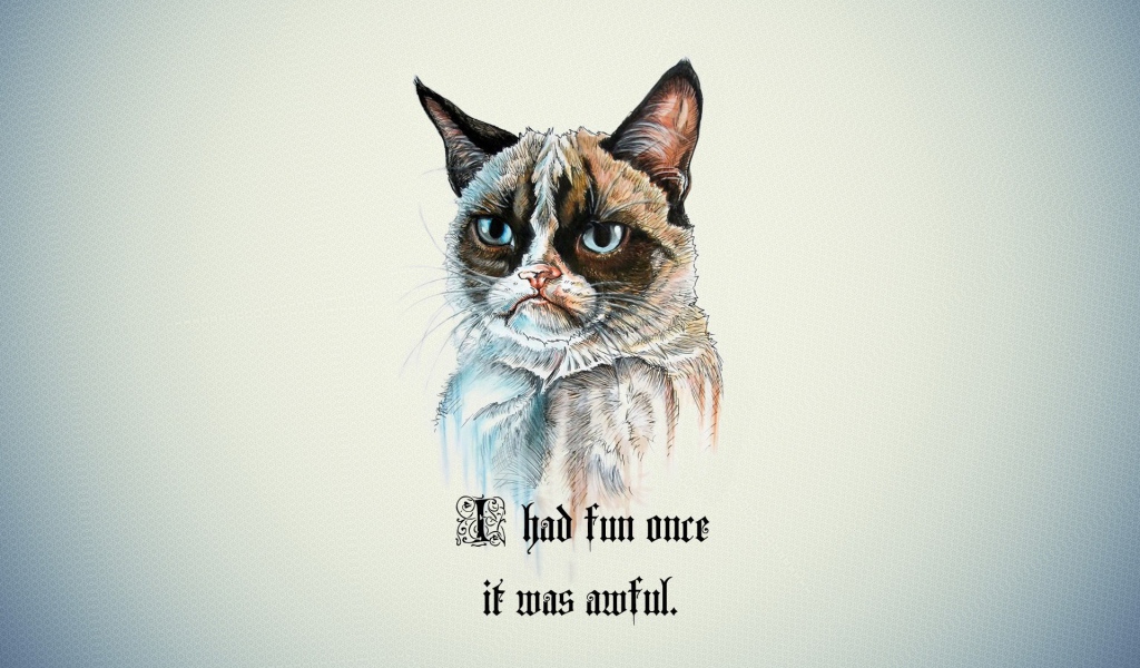 Я не люблю веселье