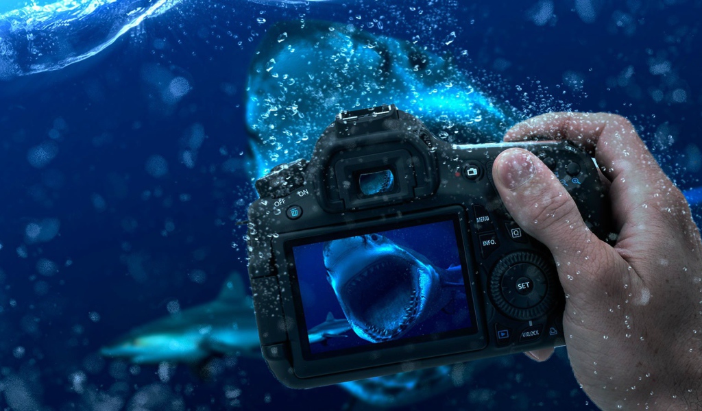 Занятие подводной фотографией