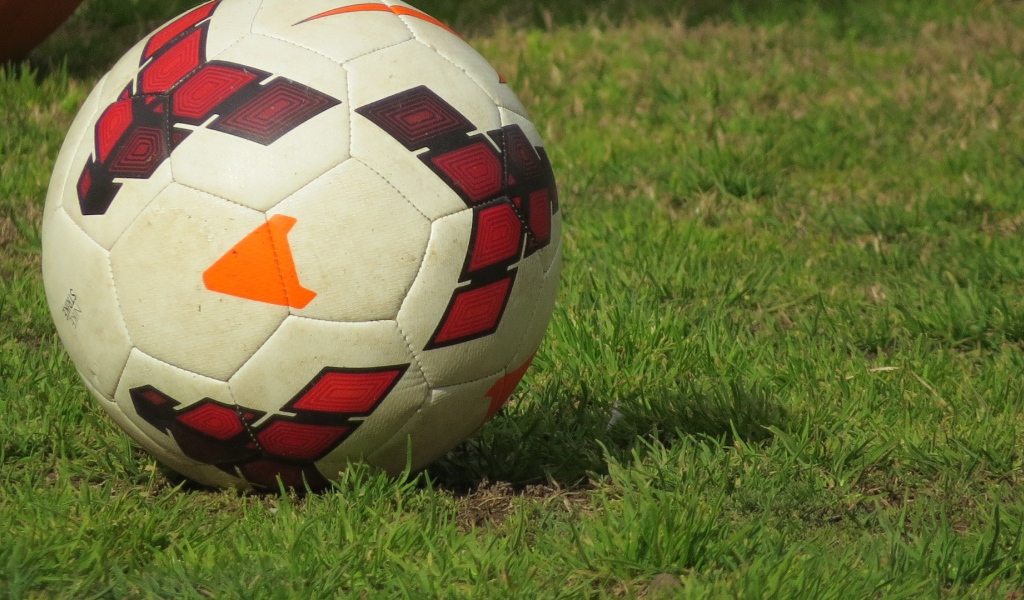 Soccer ball on a lawn