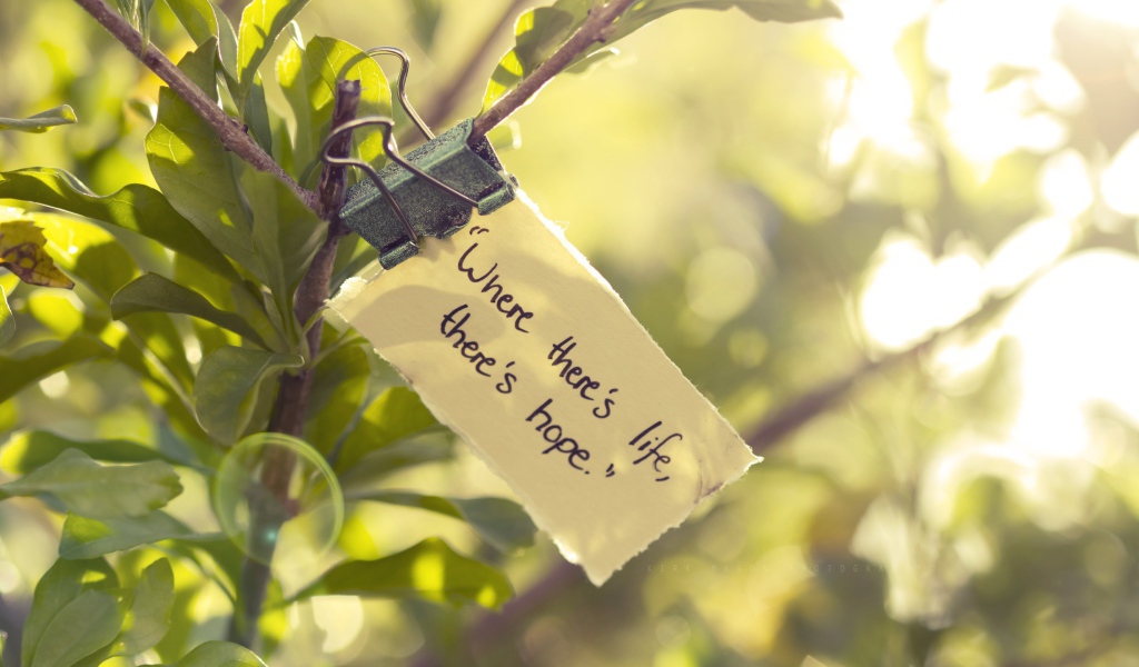 Где есть жизнь там есть и надежда
