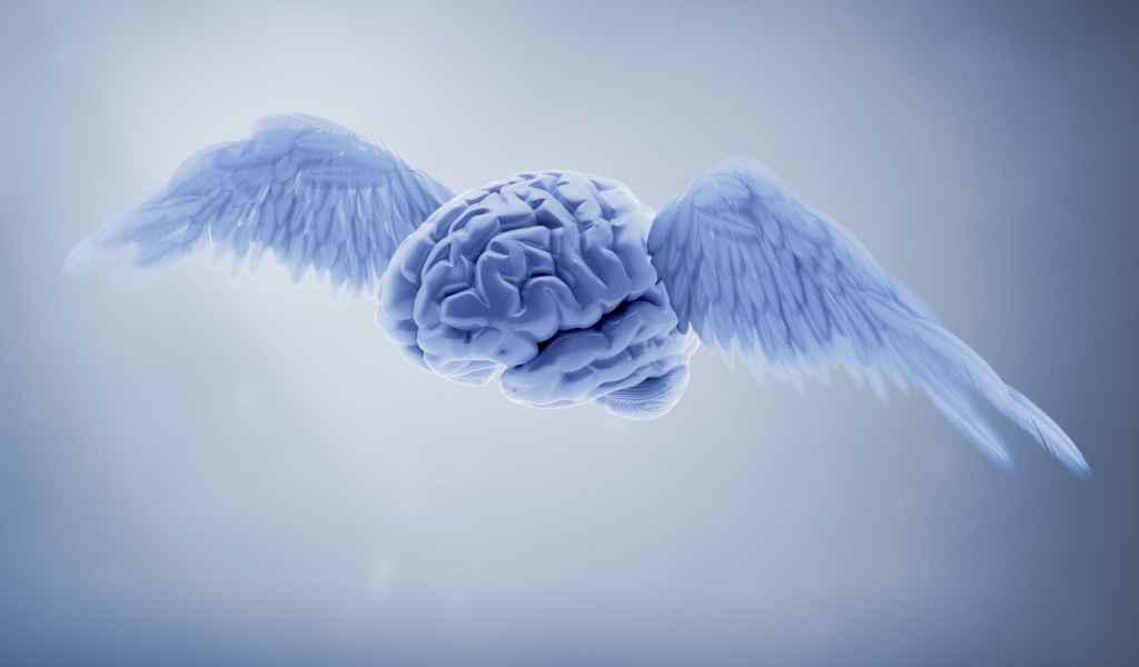 Мозг с крыльями на сером фоне 3д графика