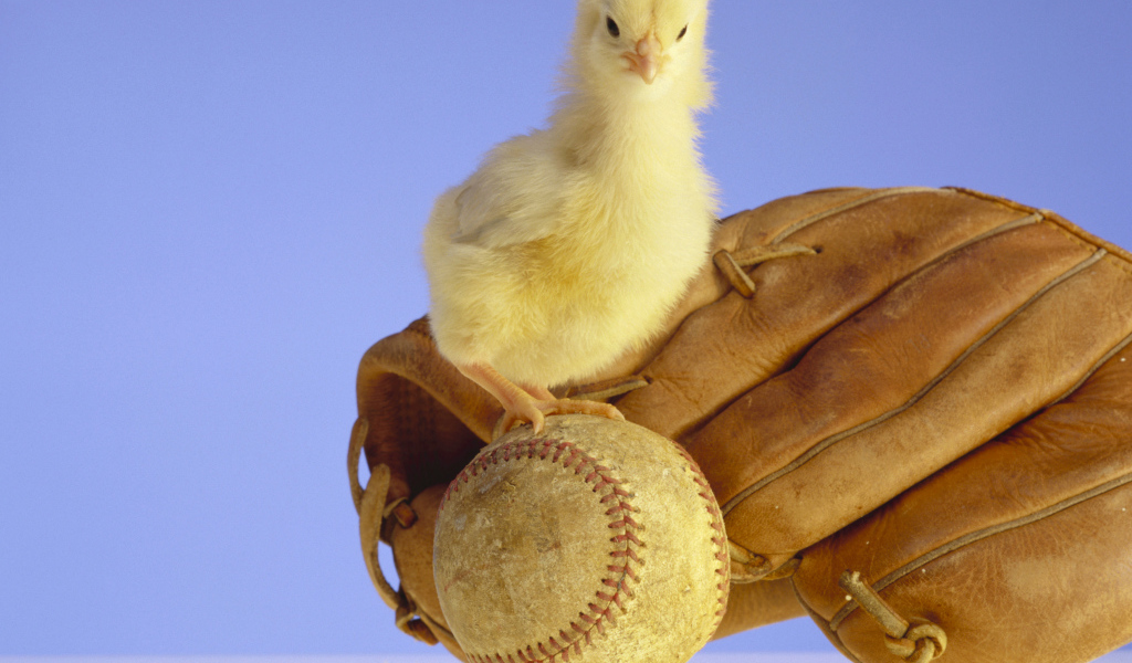 Маленький желтый цыпленок с бейсбольной перчаткой и мячом