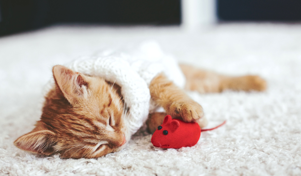 Маленький рыжий котенок спит с игрушечной мышкой