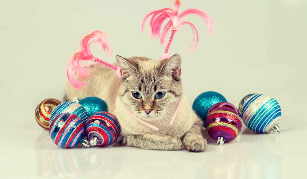 Серый кот с красивыми разноцветными новогодними шариками