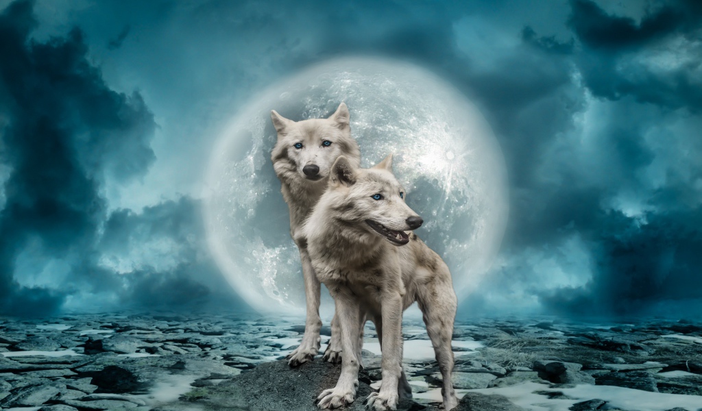 Two white wolves against the background of a big moon in the sky