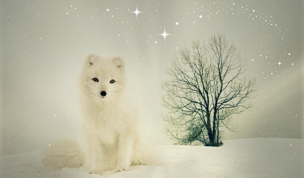 Белый песец сидит на снегу у сухого дерева