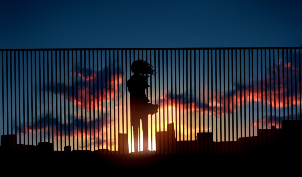 Аниме девушка на крыше смотрит на закат  