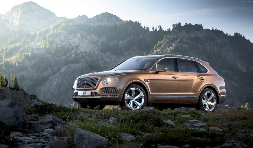 Коричневый кроссовер  Bentley Bentayga, 2017 на фоне гор