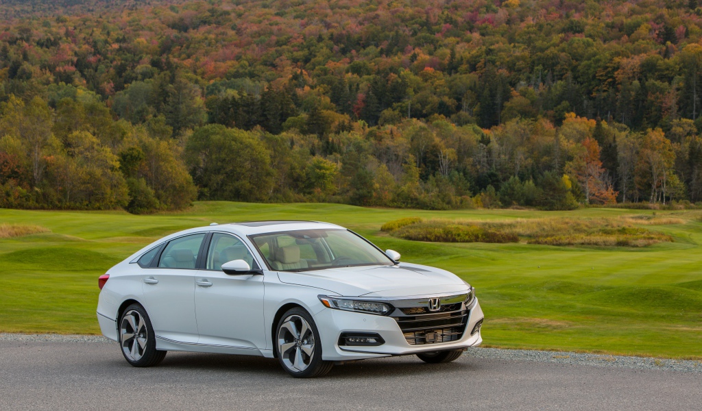 Белый автомобиль Honda Accord на фоне леса