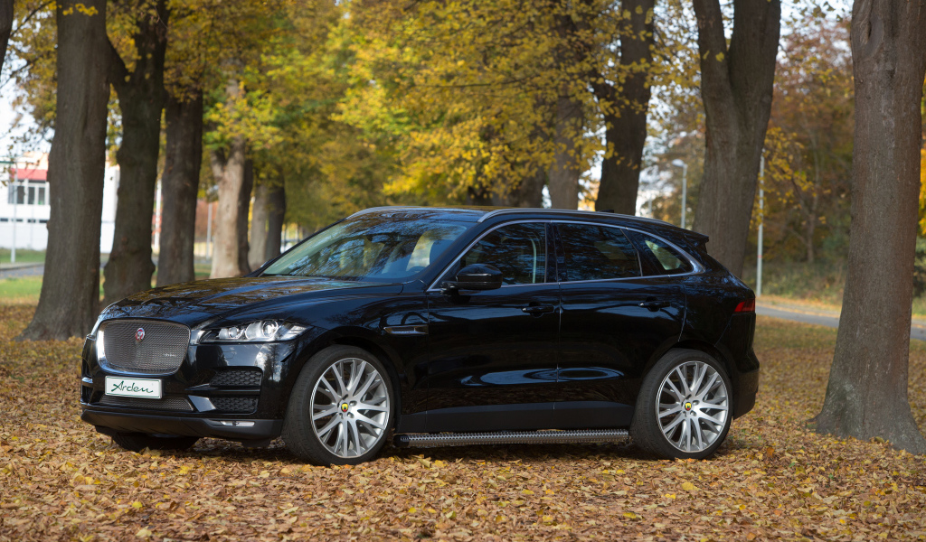 Черный автомобиль  Jaguar F-PACE стоит в парке