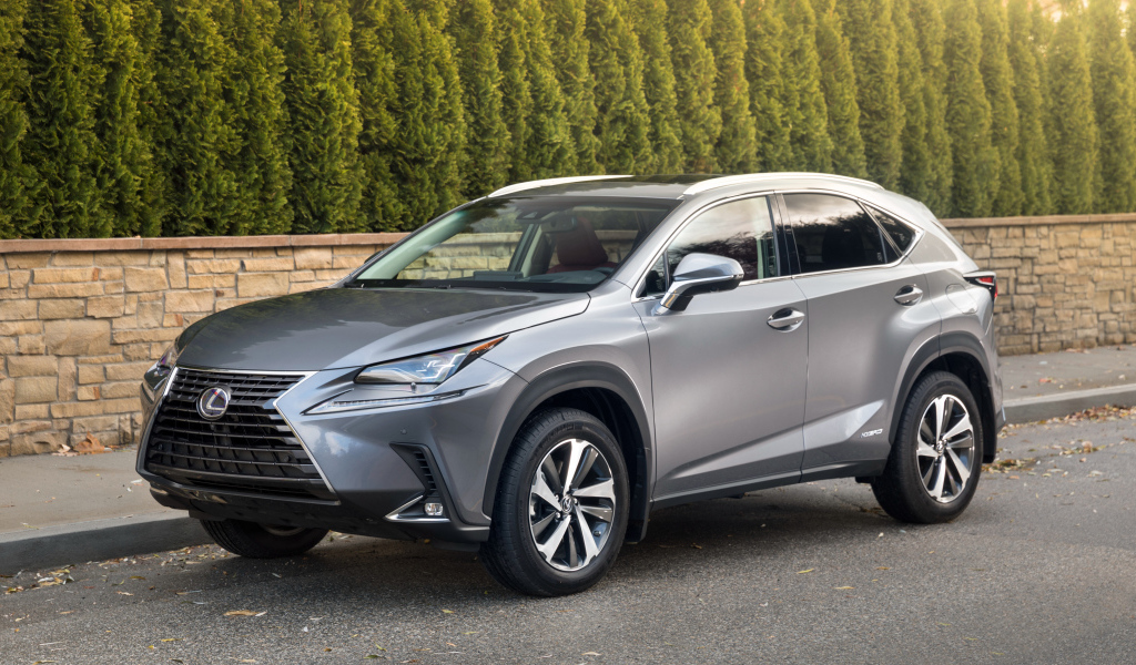 Серебристый внедорожник Lexus NX 300h, 2017 на фоне леса