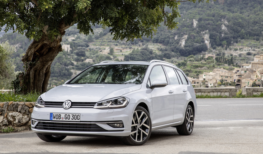 Серебристый Volkswagen Golf TDI Variant Worldwide (Typ 5G), 2017 под деревом 