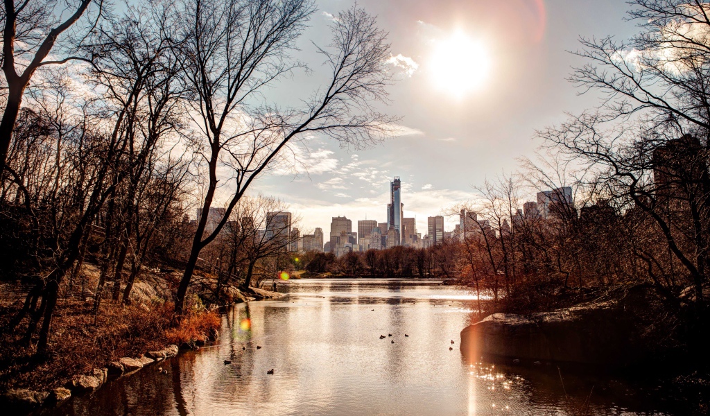 Вид на небоскребы из  городского парка 