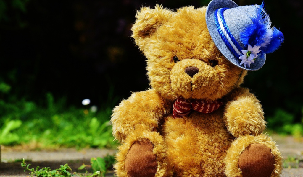 Плюшевый медведь в шляпке сидит на дороге