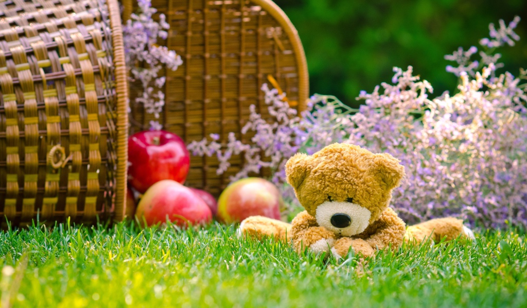 Мягкая игрушка медвежонок Тедди сидит на зеленой траве с корзиной яблок