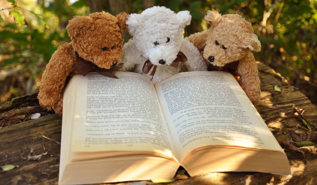 Три медвежонка Тедди читают книгу