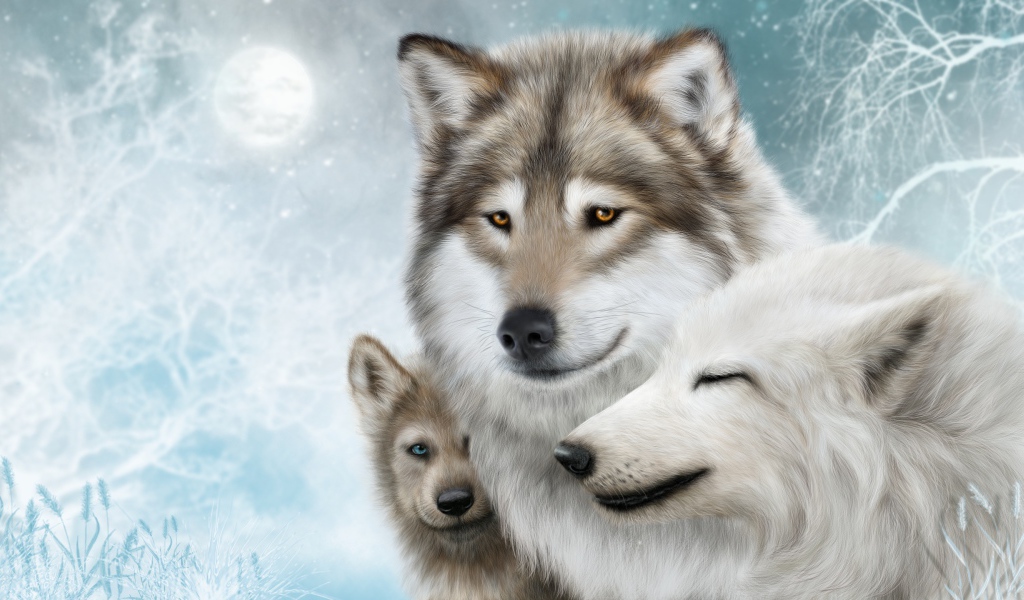 Family of three wolves in winter, drawing
