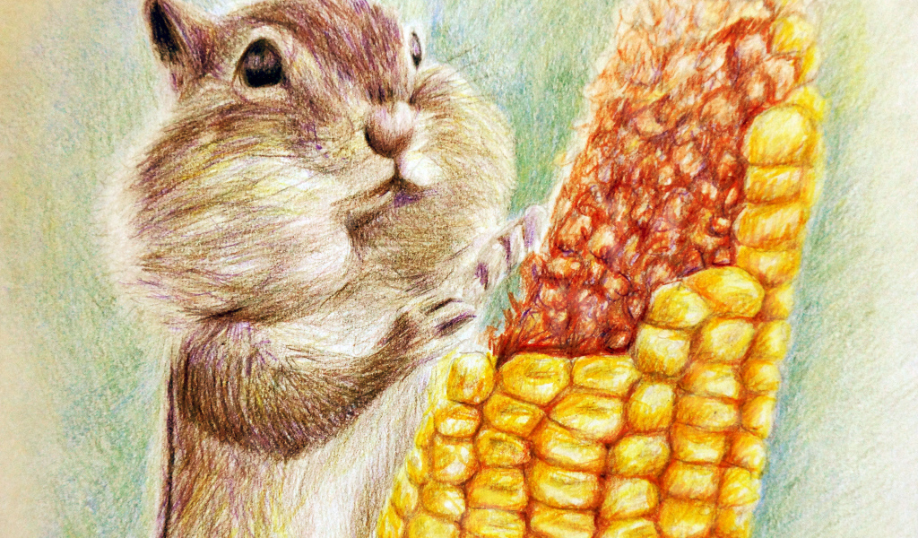 Нарисованный бурундук с кукурузой