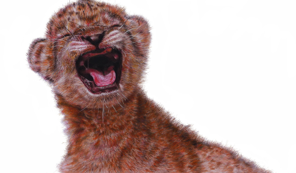 Нарисованный маленький львенок на белом фоне