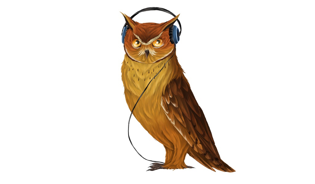 Нарисованная сова в наушниках  на белом фоне