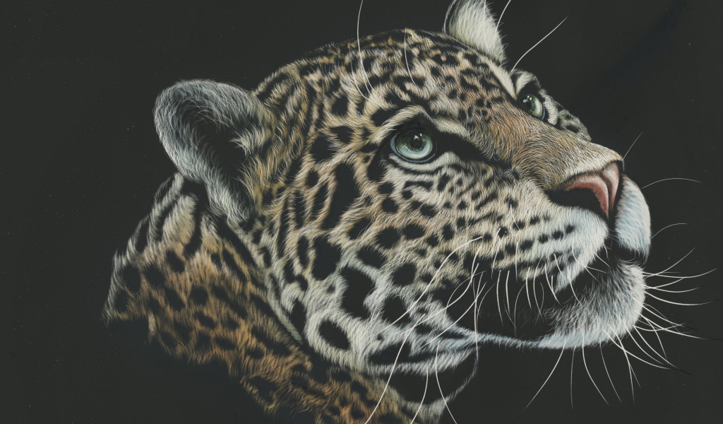 Нарисованная морда леопарда
