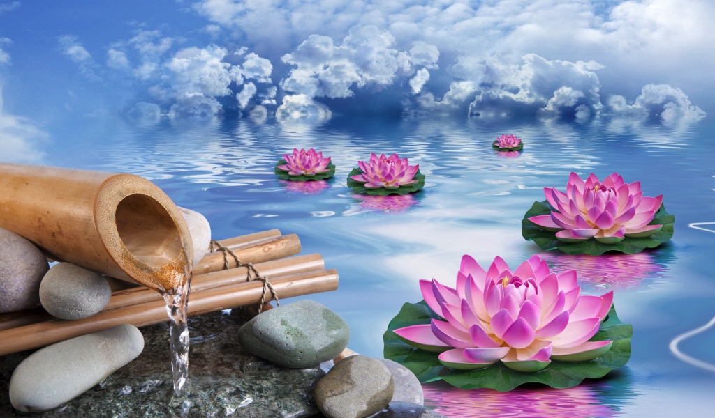 Фантастические кувшинки в воде под голубым небом