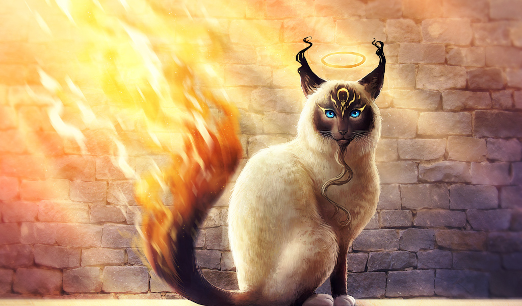 Магический кот с огненным хвостом, фэнтези