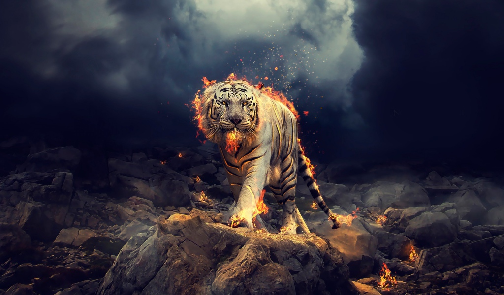 Огненный тигр идет по камням