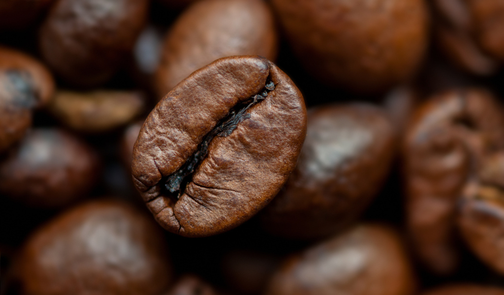 Кофейное зерно крупным планом