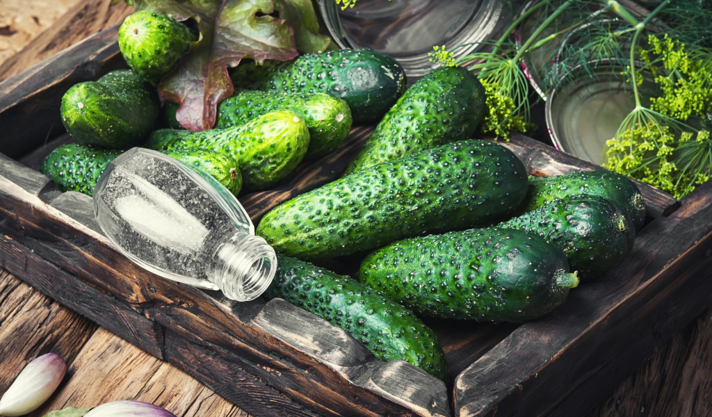 Свежие зеленые огурцы со специями на столе