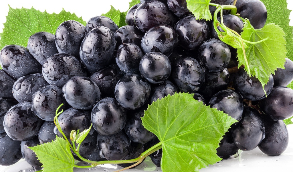 Синий виноград с зелеными листьями крупным планом