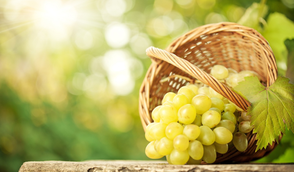 Крупный белый виноград в корзине