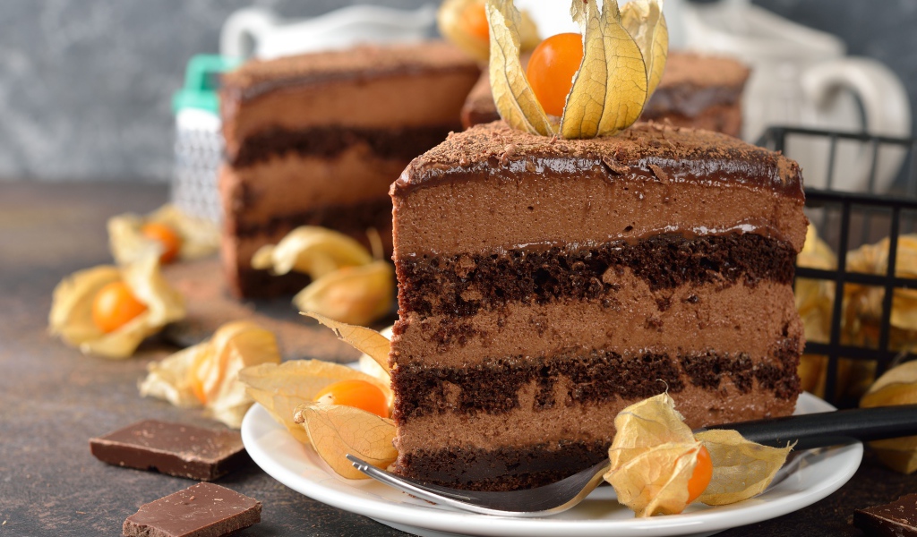 Кусок шоколадного торта с ягодами физалиса