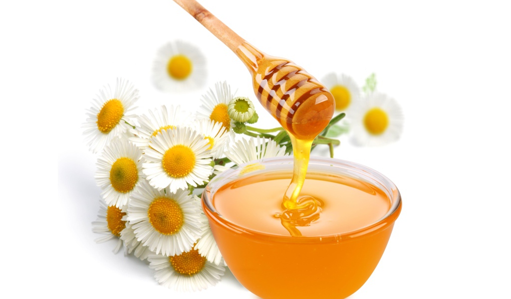 Мед на столе с цветами ромашки на белом фоне