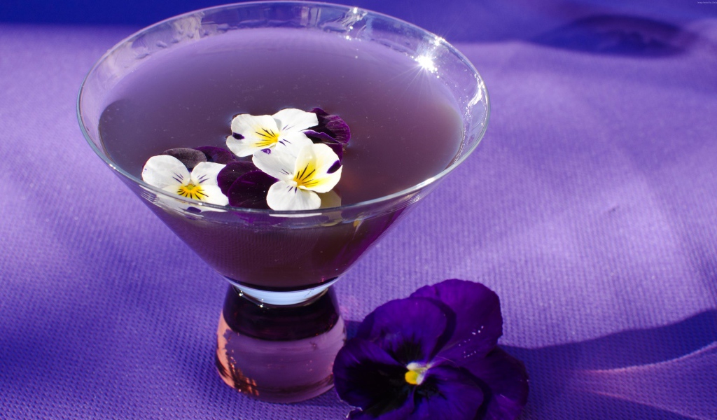 Фиолетовый коктейль Сангрия с текилой и цветами фиалки