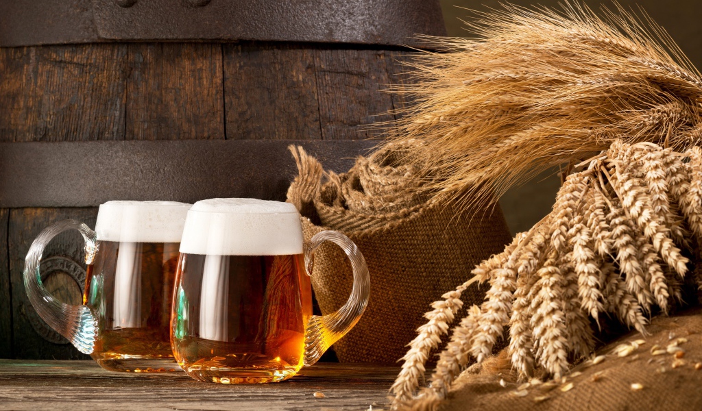Два бокала пива и колосья пшеницы 