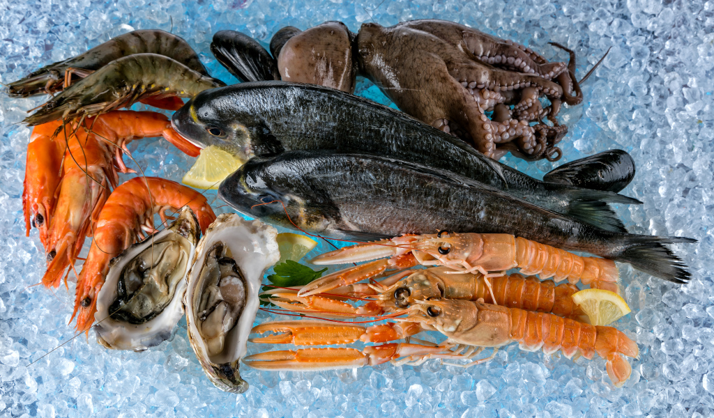 Морепродукты креветки, рыба, мидии лежат на льду