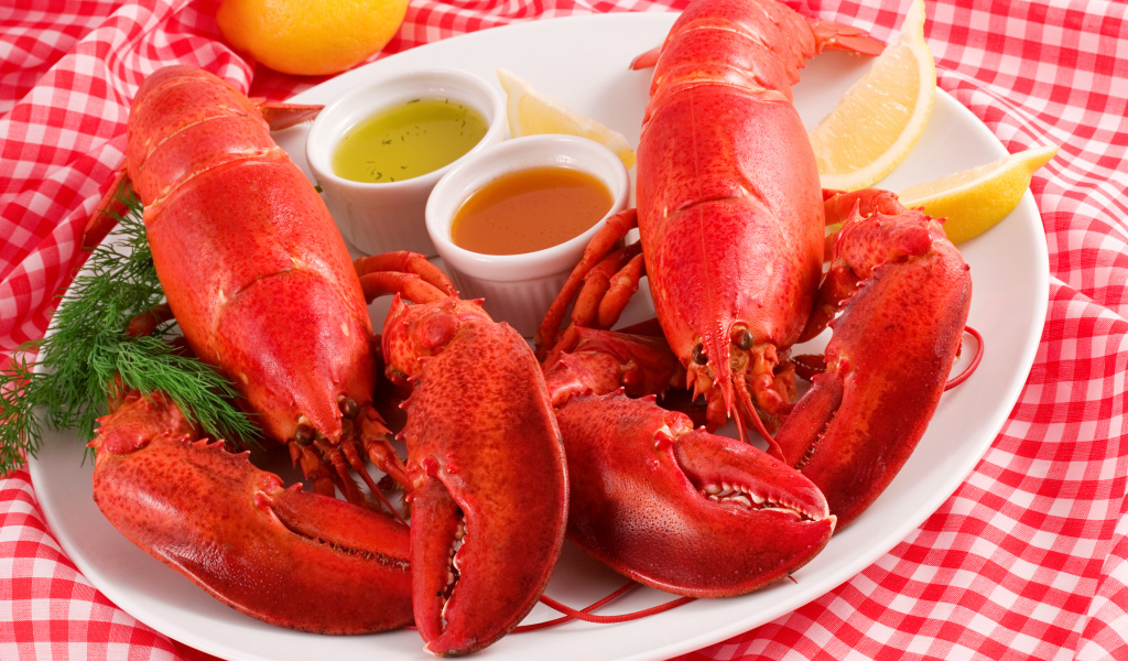 Два вареных омара на тарелке с соусом