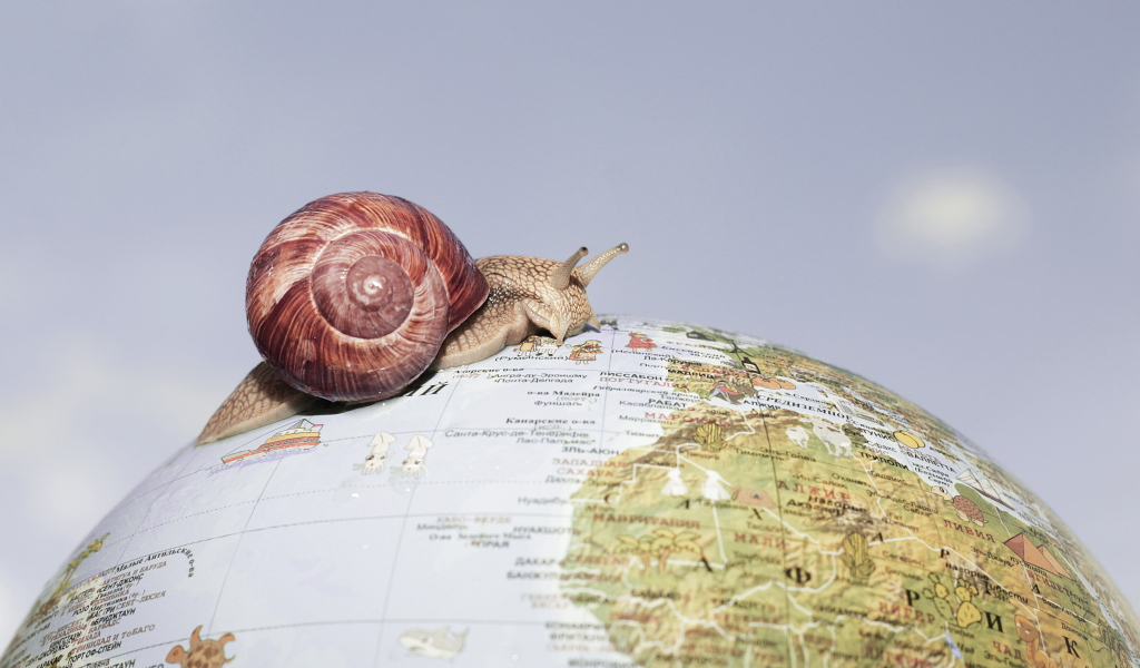 Улитка ползет по глобусу на сером фоне