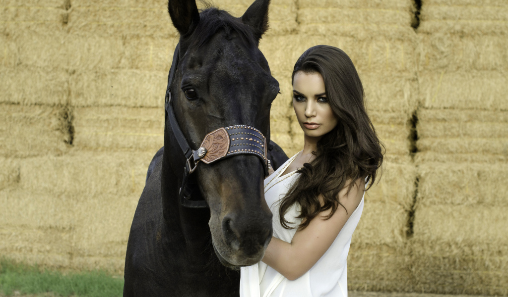 Красивая девушка брюнетка с черным конем 