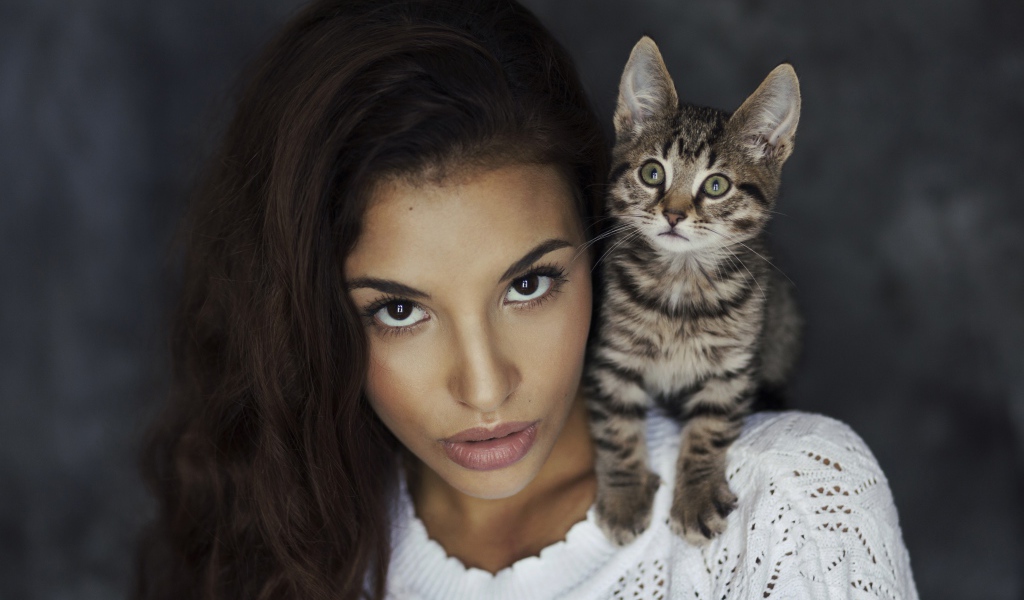 Красивая девушка с серым котенком на плече 