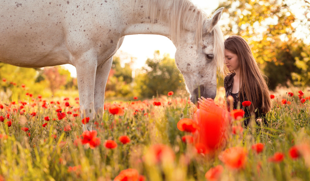 Красивая молодая девушка с лошадью на поле покрытом красными маками
