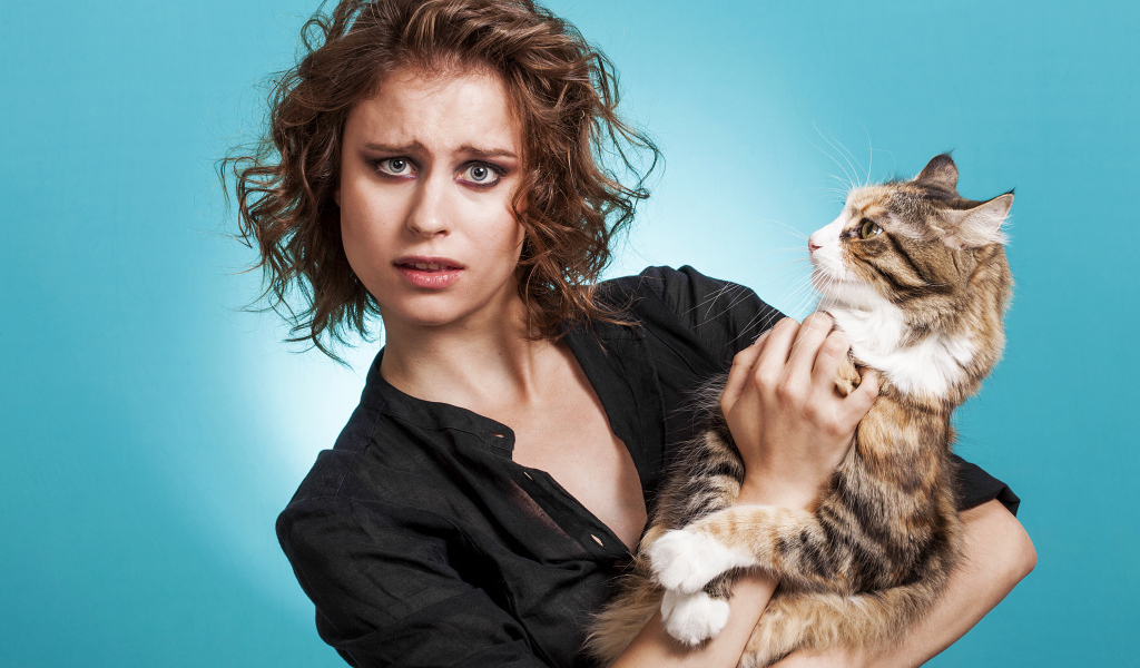 Молодая девушка шатенка с большим котом  на голубом фоне