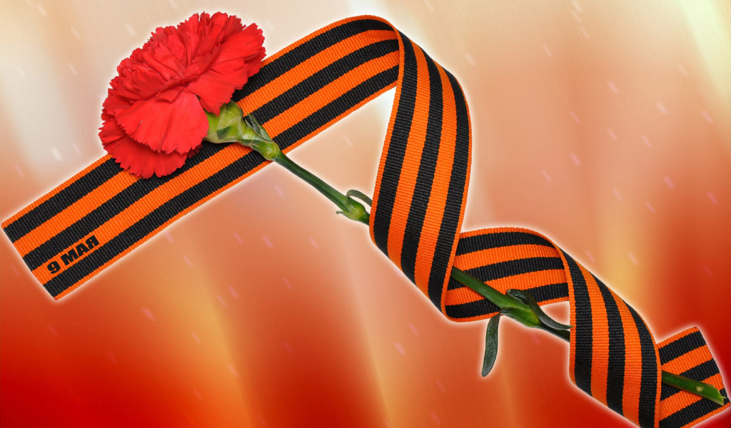 Красная гвоздика и георгиевская лента на 9 мая 