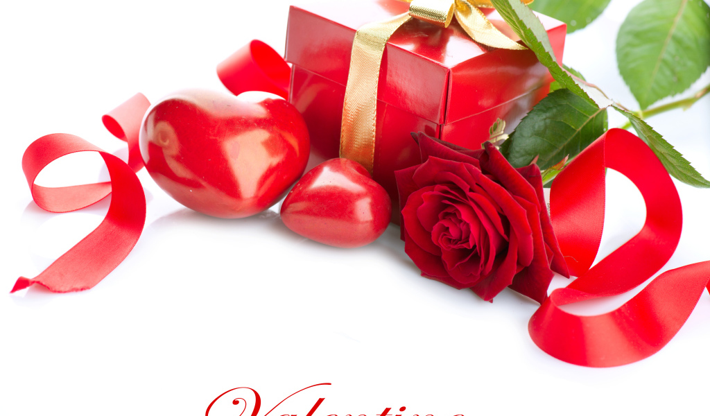 Красная роза с подарком и сердечками на белом фоне ко Дню всех влюбленных 14 февраля