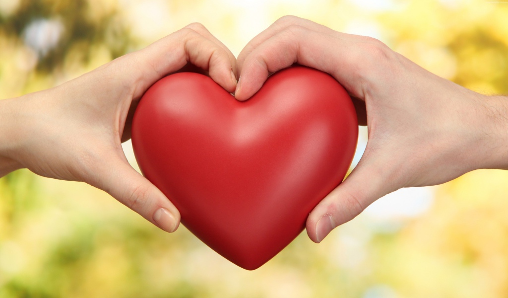 Парень и девушка  держат в руках большое красное сердце