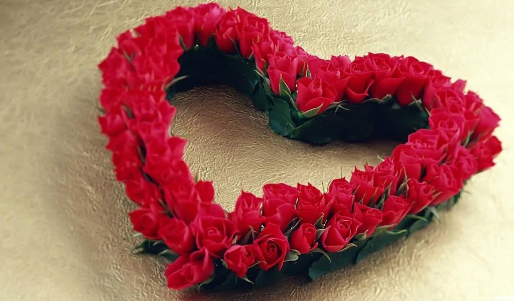 Большое сердце из красных роз 