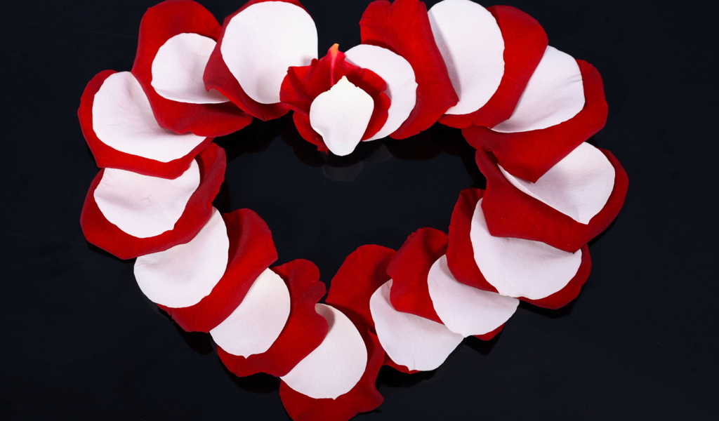 Сердце из лепестков розы 