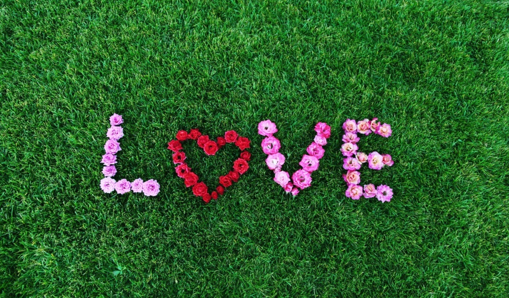 Надпись Любовь выложена из роз на зеленой траве